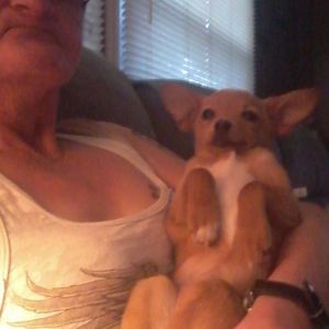 Meet your Posher, Phyllis